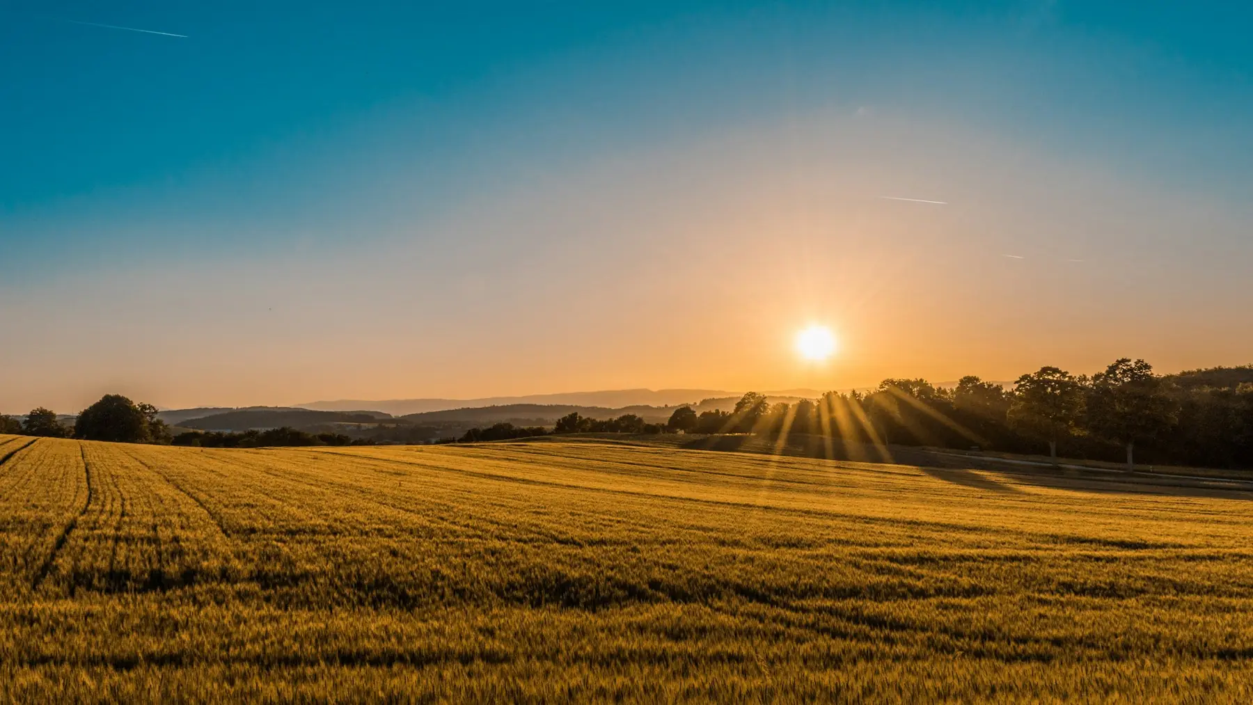 Open land at sunrise – representational image